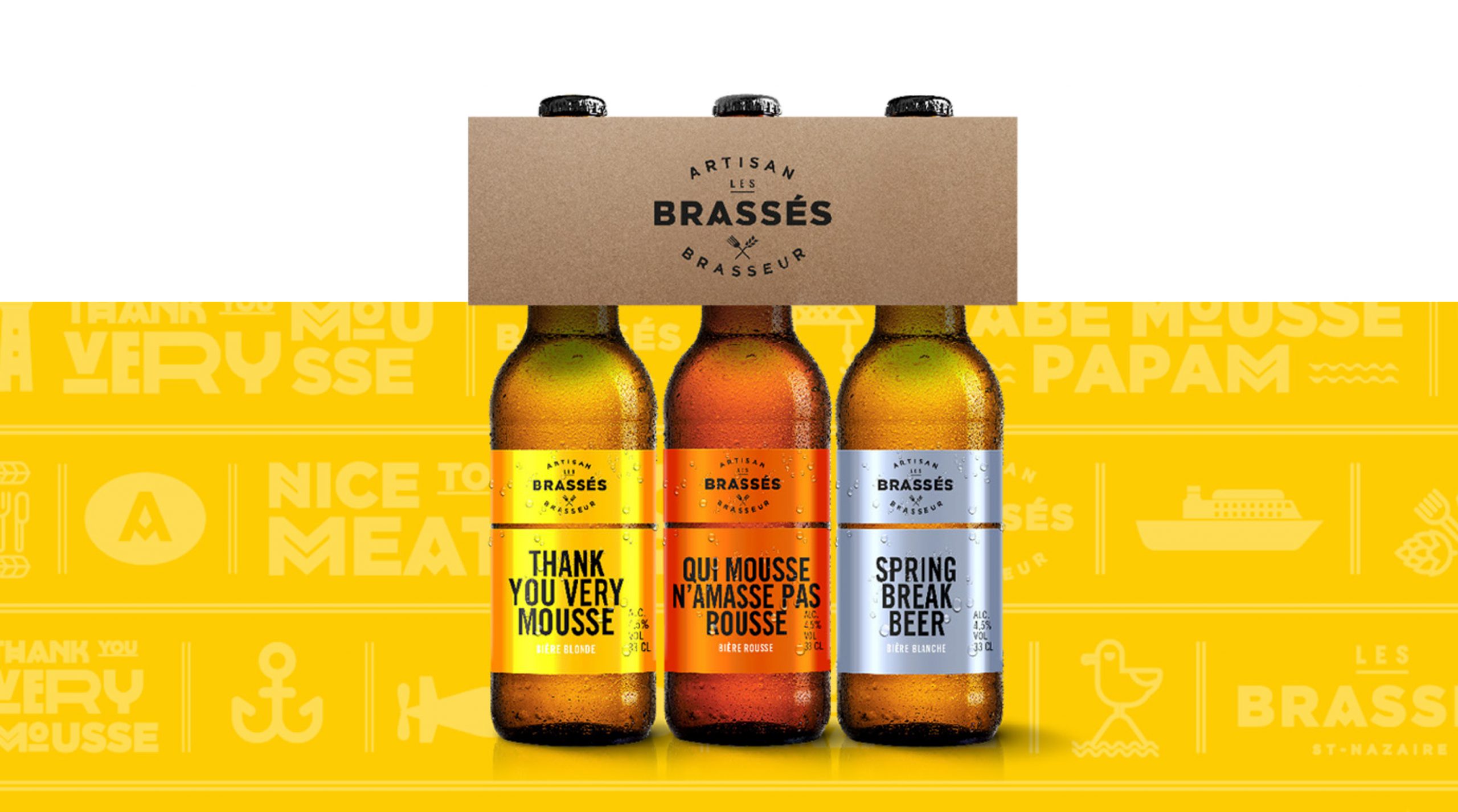 Les brassés visuel bière