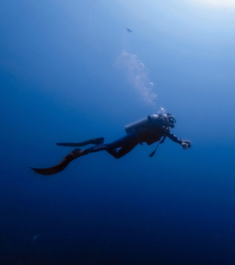 Plongée sous-marine