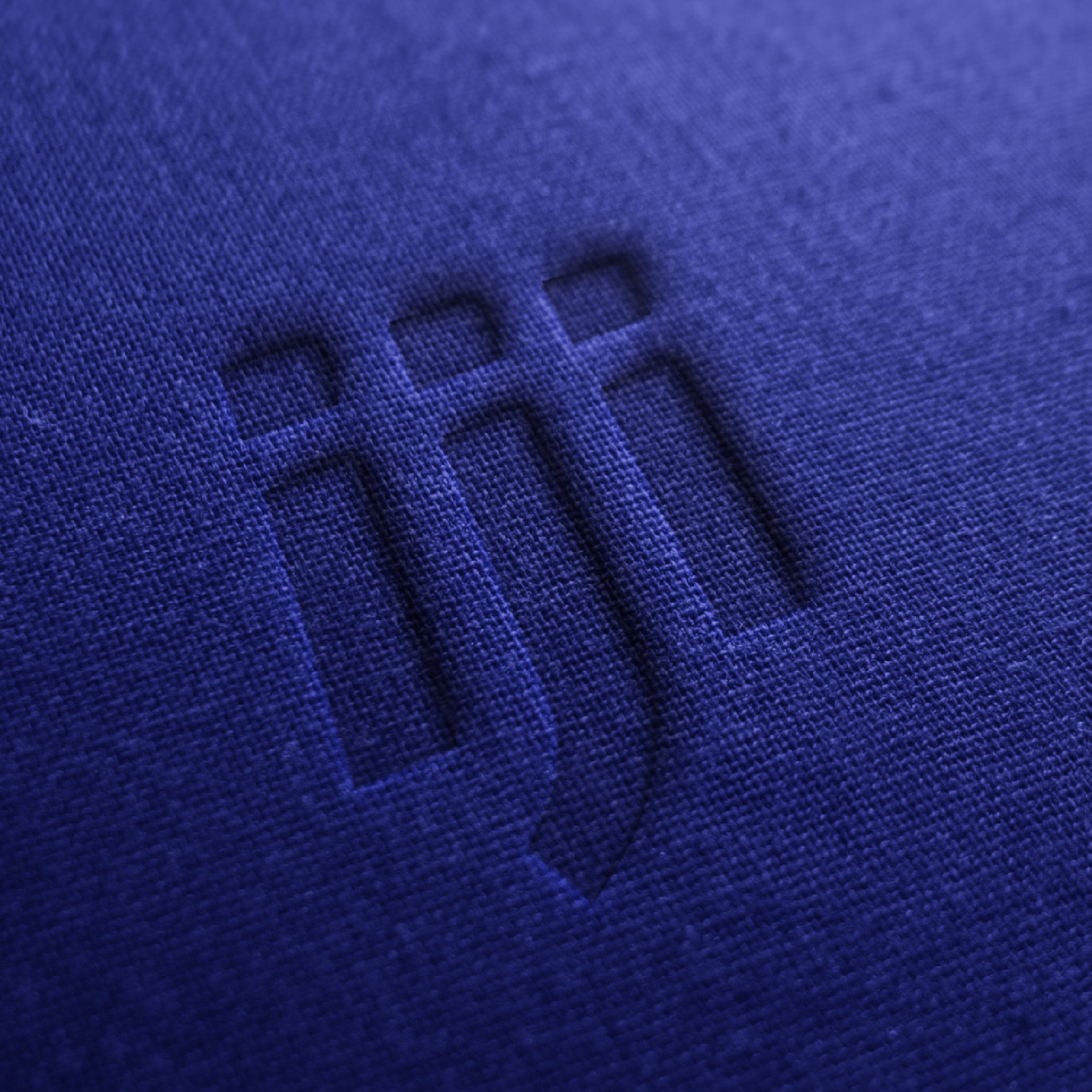 Logo iji