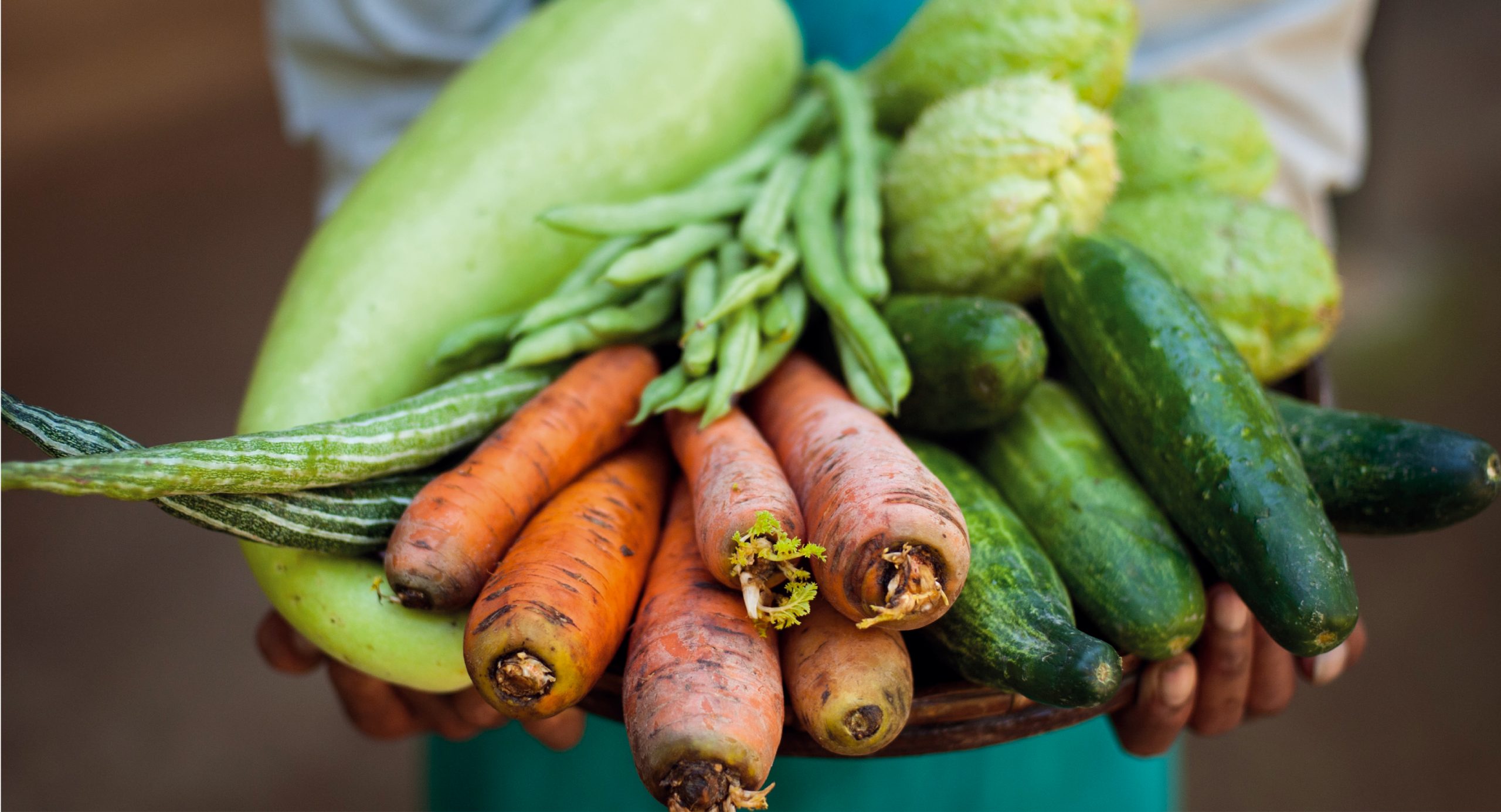 Légumes du MiN de Nantes Métropole